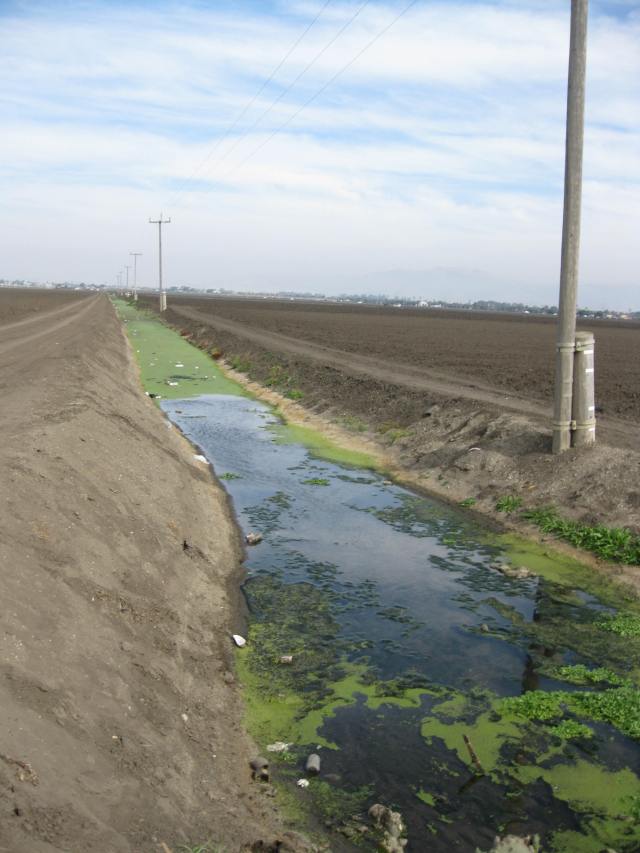 Water that drains from farm fields has high levels of nutrients and pesticides.  Nutrients stimulate algae – sometimes toxic species – that can wash into the ocean and kill marine life such as endangered sea otters.  
